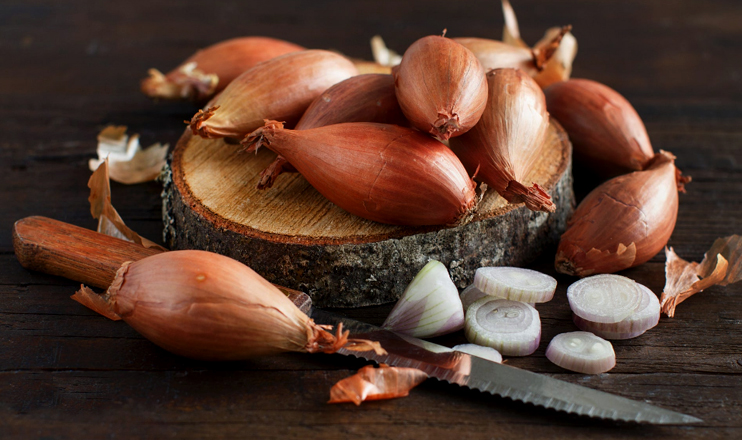 Myths and facts on onions