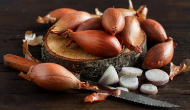 Myths and facts on onions