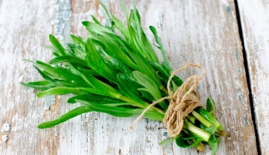 Միֆեր և իրականություն թարխունի մասին