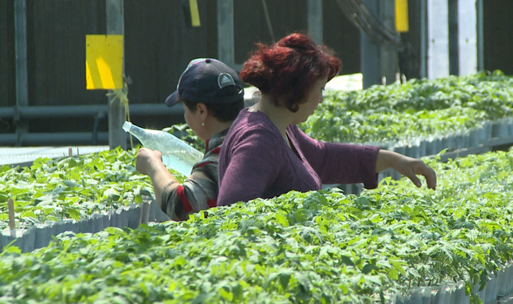 The First on Economics