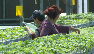 The First on Economics