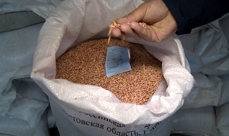 The First on Economics