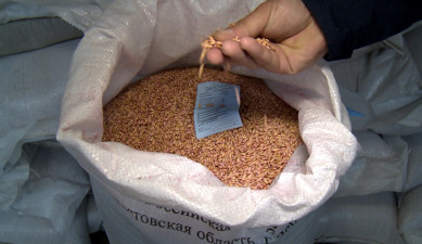 The First on Economics