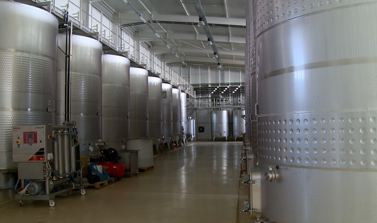 The First on Economics