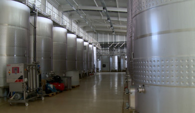 The First on Economics