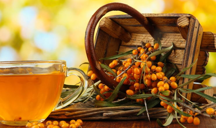 Myths and facts on sea buckthorn