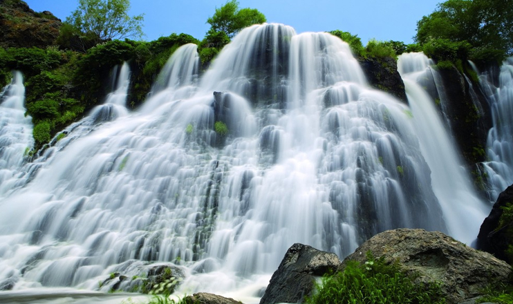 The First on Economics