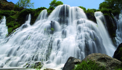 The First on Economics