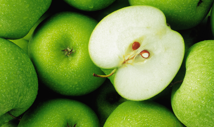 The First on Economics