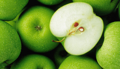 The First on Economics