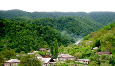 The First on Economics