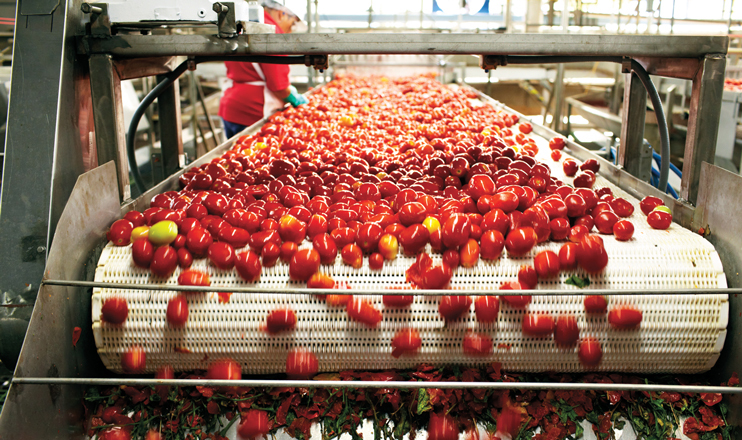 First in the Economics