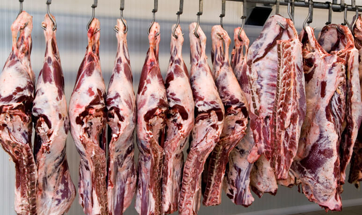 First in the Economics