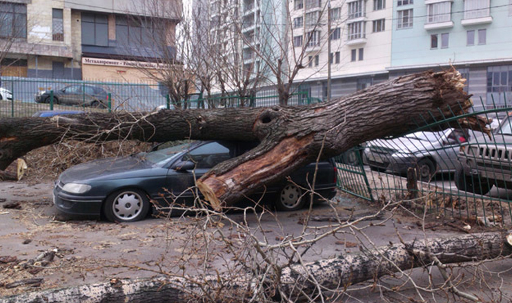 First in the Economics