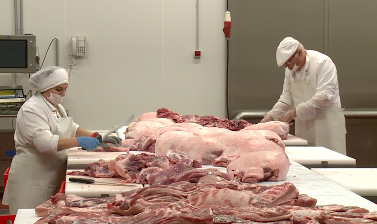 First in the Economics