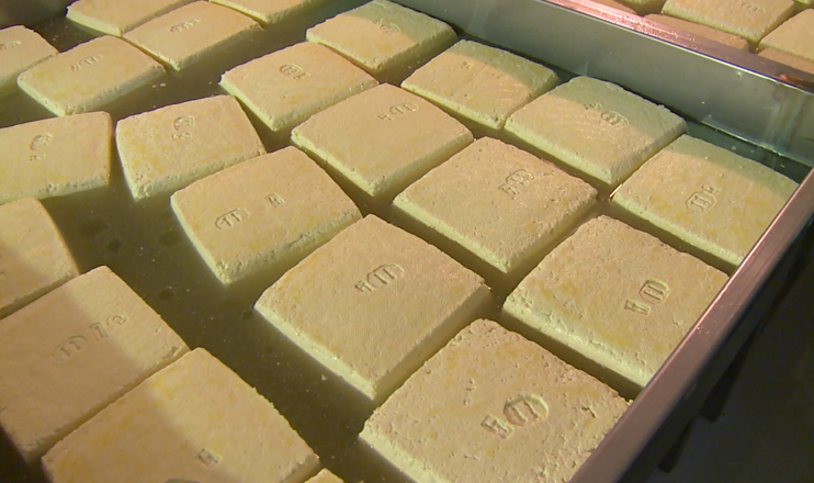 First in the Economics