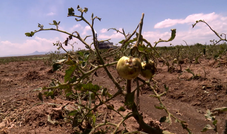 First in the Economics