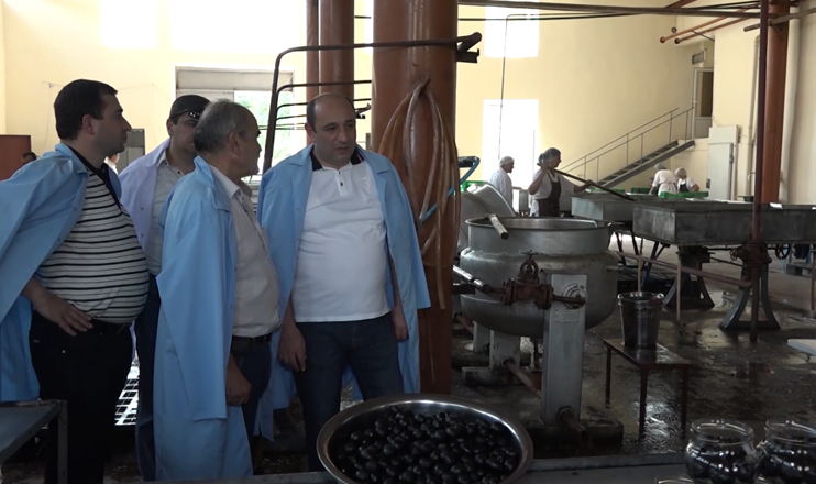 First in the Economics