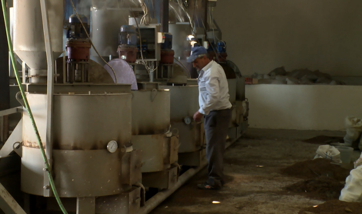 First in the Economics