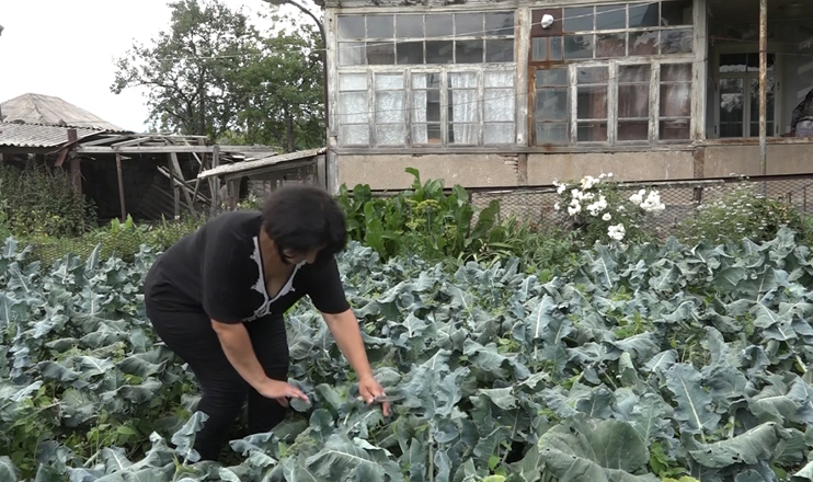 First in the Economics