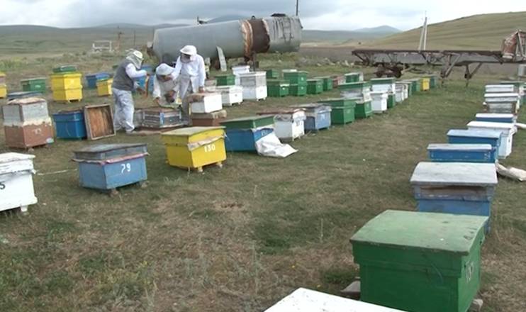 First in the Economics