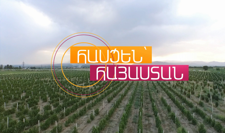 Address - Armenia: summary