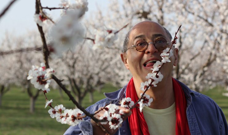 Address - Armenia: Oshin Yeghiazariants