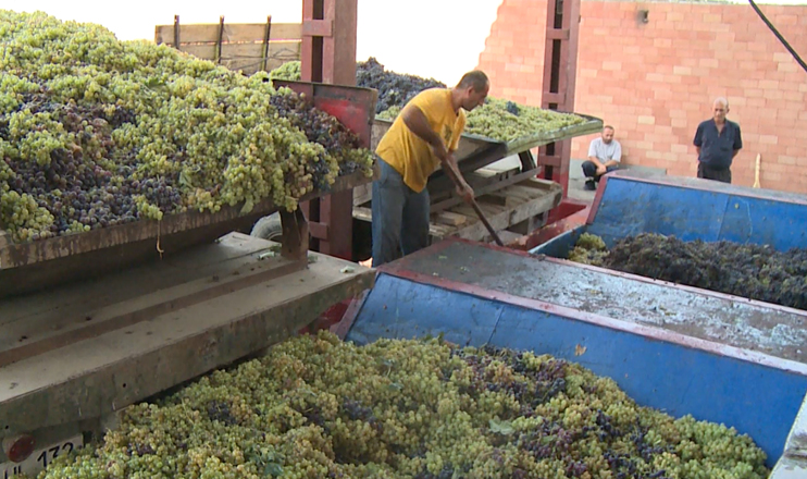 First in the Economics