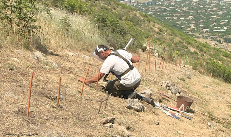 First in the Economics