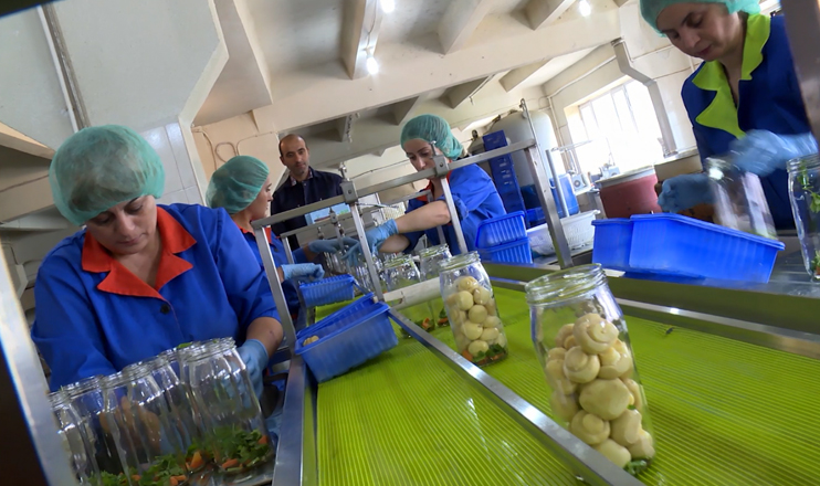 First in the Economics