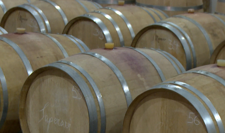 First in the Economics