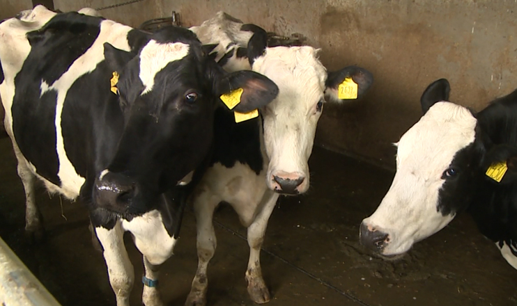 First in the Economics