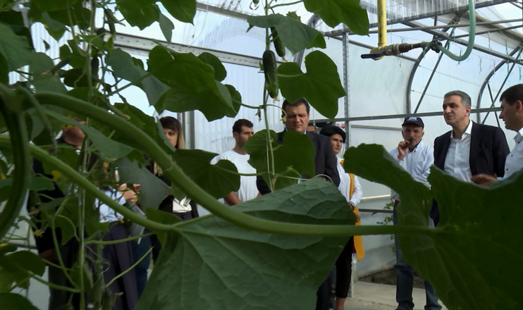 First in the Economics