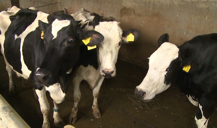 First in the Economics