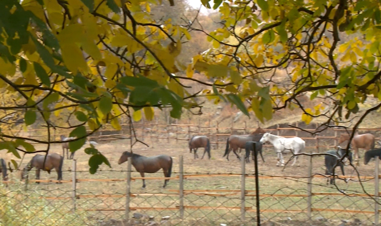 The First on Economics