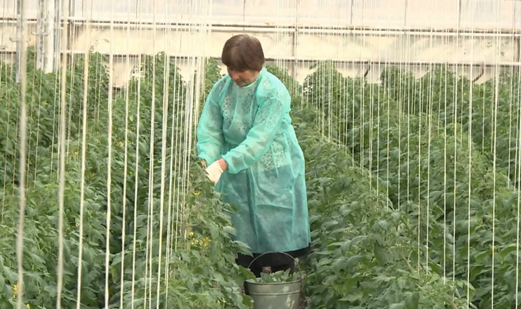 The First on Economics