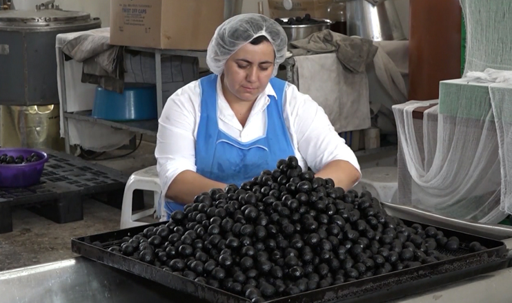 The First on Economics