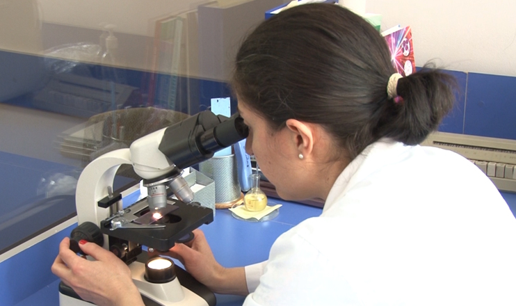 Հրապարակում