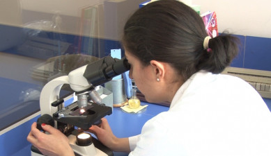 Հրապարակում