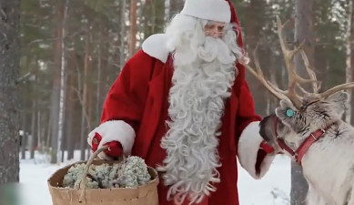 Մասնագիտությունը՝ լրագրող. Բարև 2018