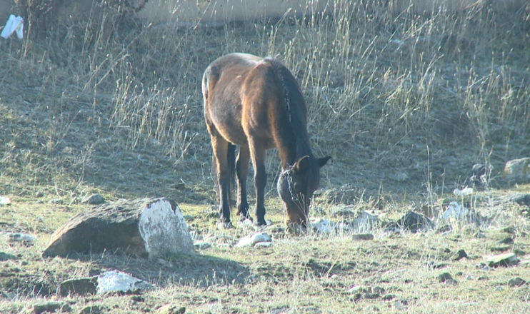 Повестка дня: индекс