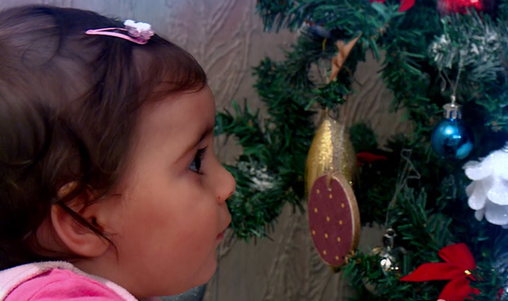 Новый год в деревне