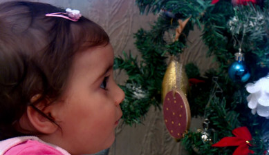 Новый год в деревне