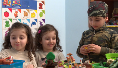 Մայրիկի օրագիր. երկվորյակներ