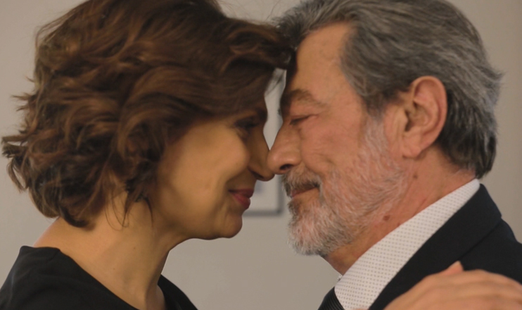 TV Series: Destiny's Answer