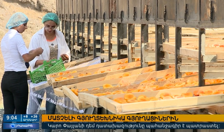 Повестка дня 13:00