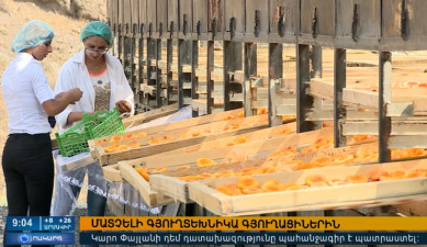 Повестка дня 13:00