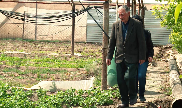 Վերապրած ընտանիքներ