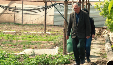 Վերապրած ընտանիքներ