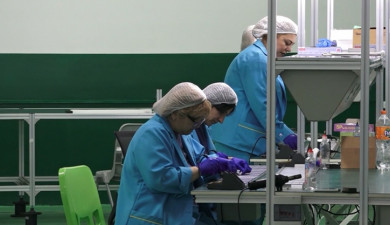 Հրապարակում